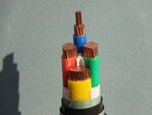 1kV聚氯乙烯绝缘电力电缆